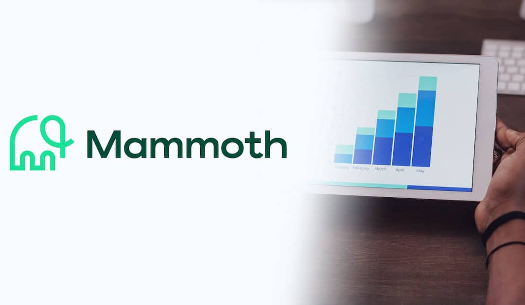 Mammoth Takes the Heavy Lift out of Integrating Desperate Sales and Marketing Datasets!